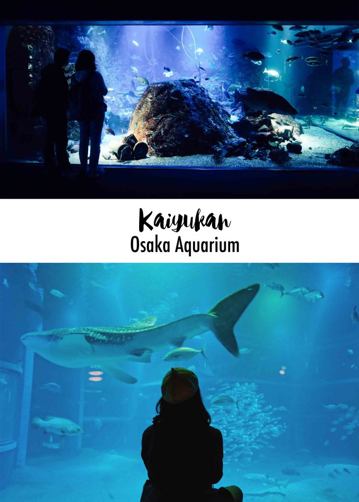 Kaiyukan Aquarium พิพิธภัณฑ์สัตว์น้ำ โอซาก้า