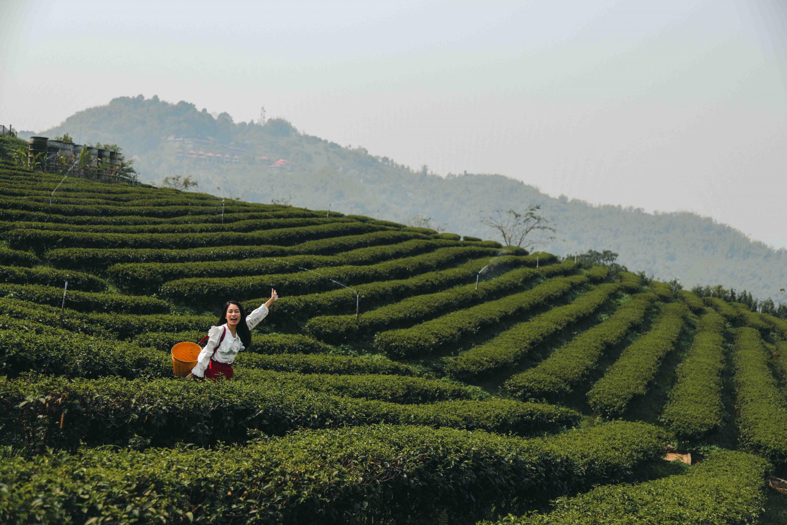 Chiang Rai